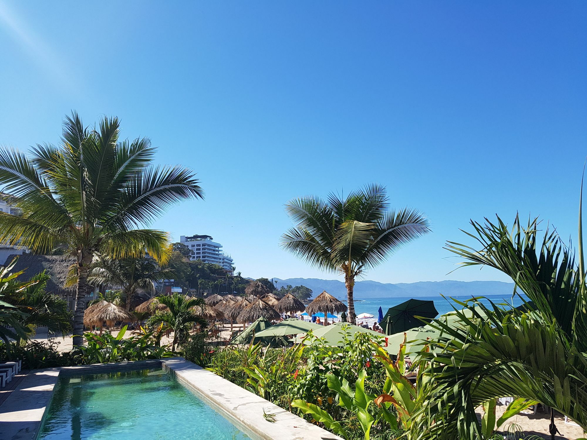Suites At Sapphire Ocean Club Пуэрто-Вальярта Экстерьер фото